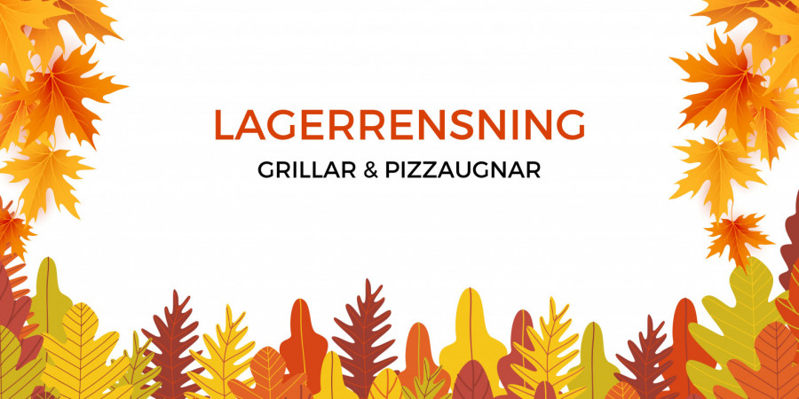 Lagerrensning text