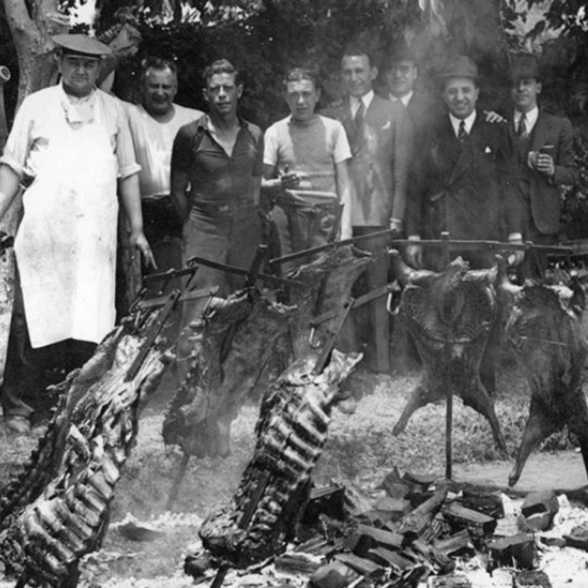 Ursprung och Historia