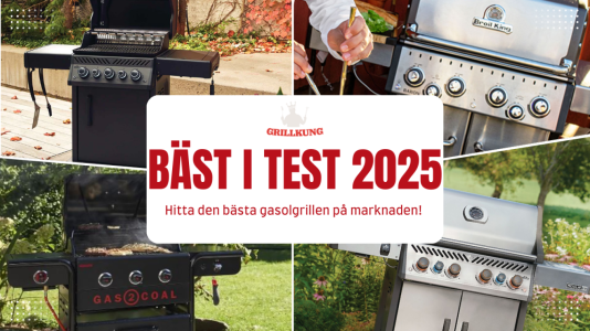 gasolgrill_bast_i_test_202542.png