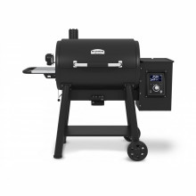 Regal Pellet500